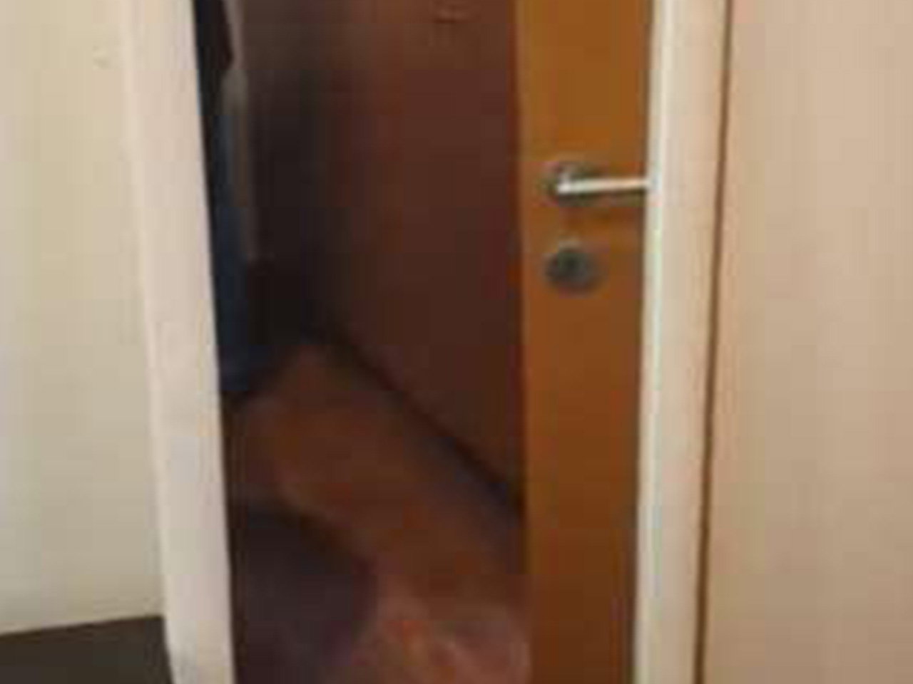Artículos de Hogar - Deudor Eduardo Ferri - Imagen 27