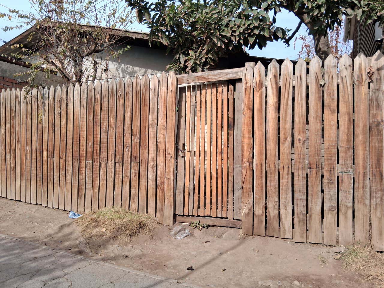 Amistad 8510 - Imagen 3