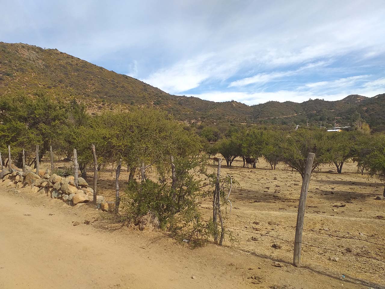 Los Rulos S/N, Colliguay - Imagen 10