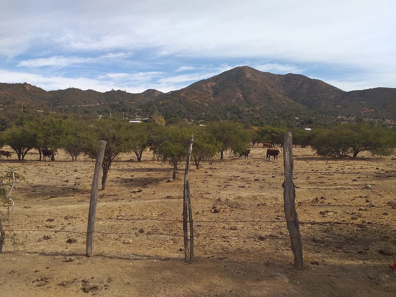 Los Rulos S/N, Colliguay - Imagen 11