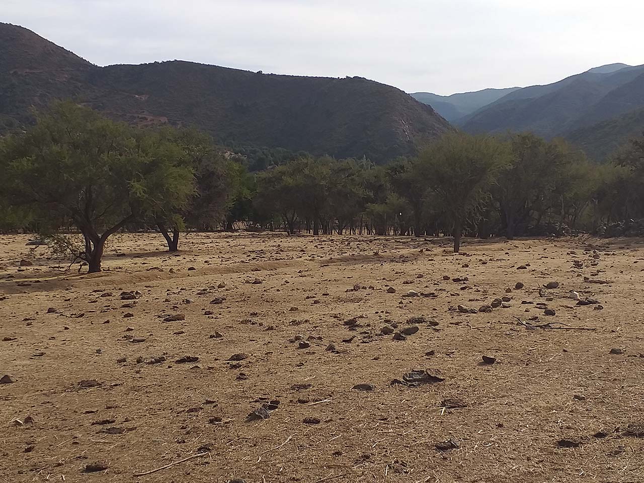 Los Rulos S/N, Colliguay - Imagen 4