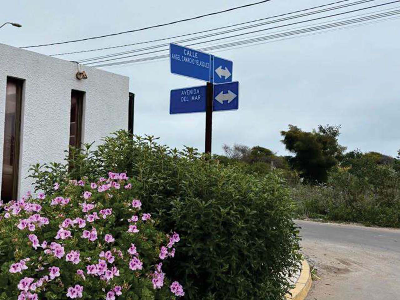 Av. Del Mar 694 - Imagen 8
