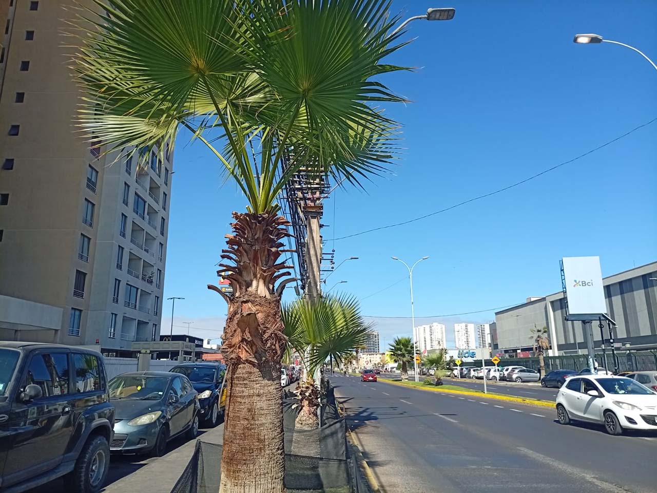 Av. Héroes de la Concepción 2464, Depto. 1403 - Imagen 7