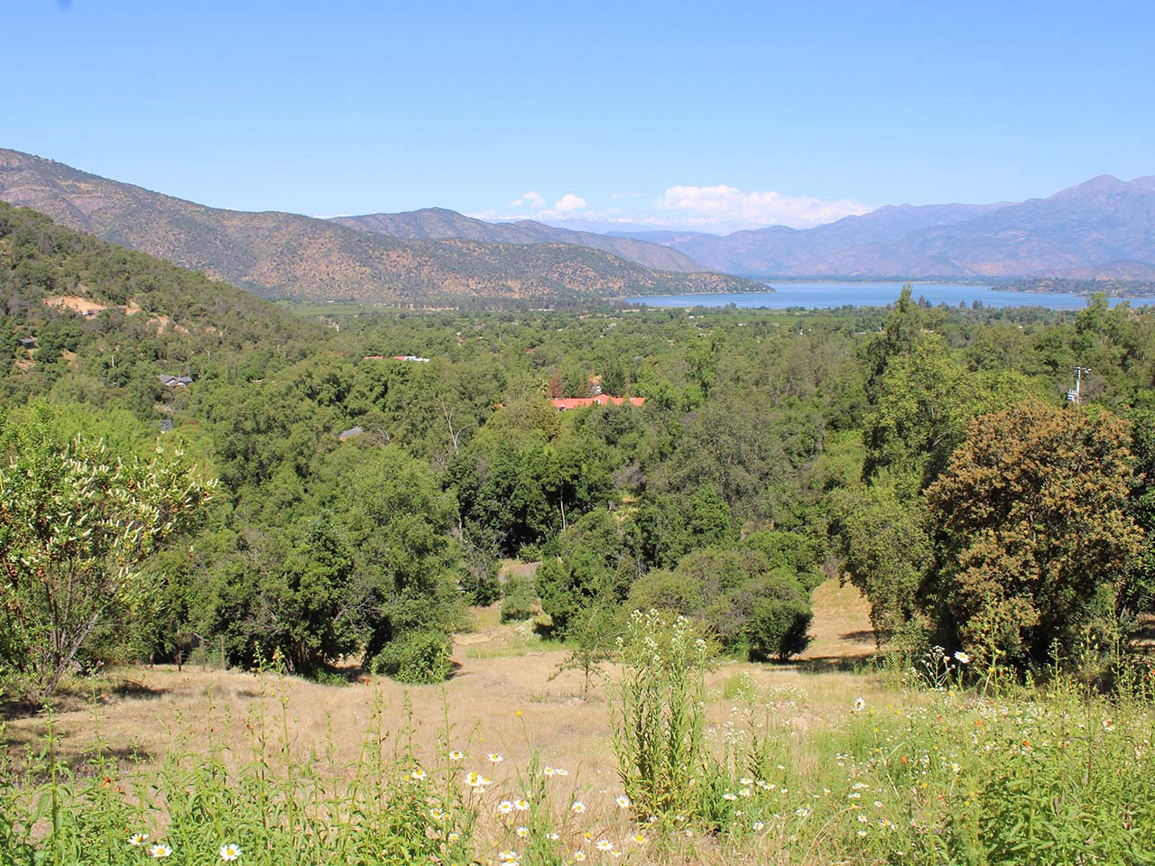 Peumos Aculeo, Parcela 62 - Imagen 2