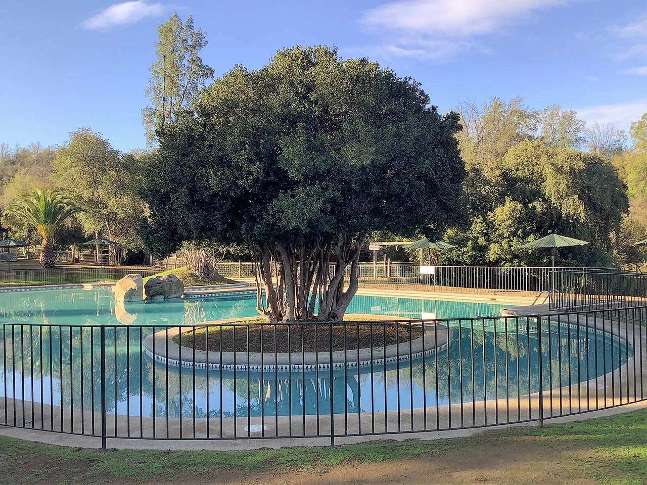 Peumos Aculeo, Parcela 62 - Imagen 8