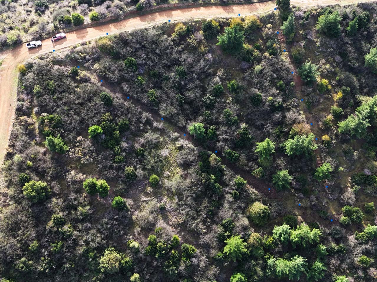 La Lajuela, Lote O, Parcela 180 - Imagen 2