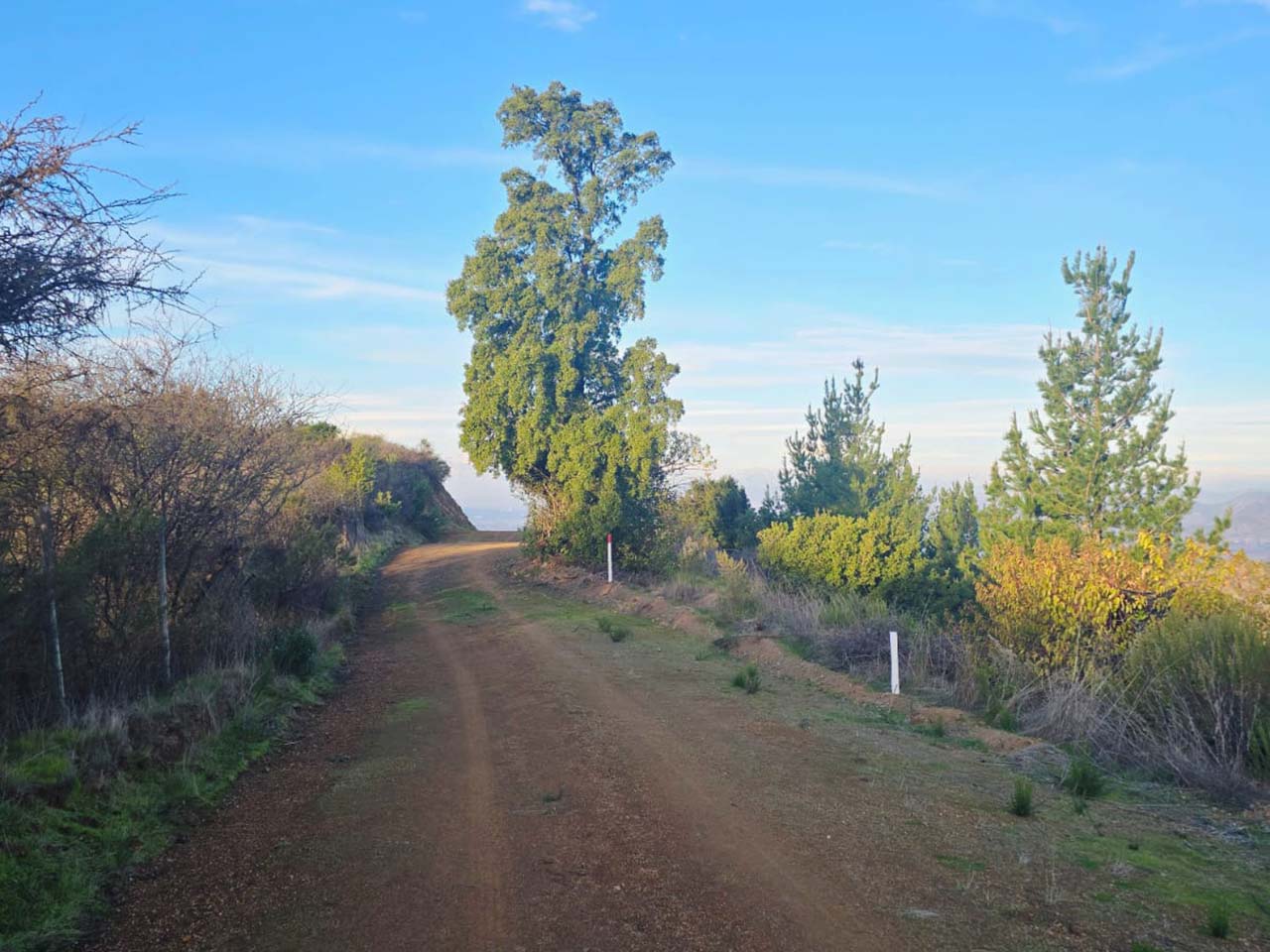 La Lajuela, Lote O, Parcela 180 - Imagen 5