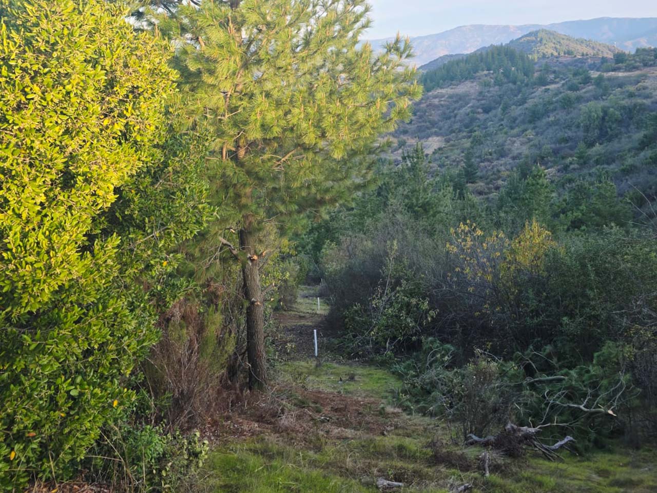 La Lajuela, Lote O, Parcela 180 - Imagen 6