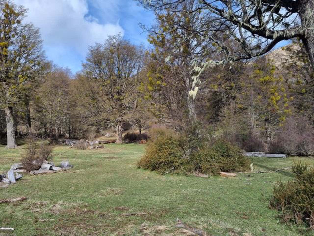 Terreno Coyhaique, Río Norte, Lote 1 - Imagen 17