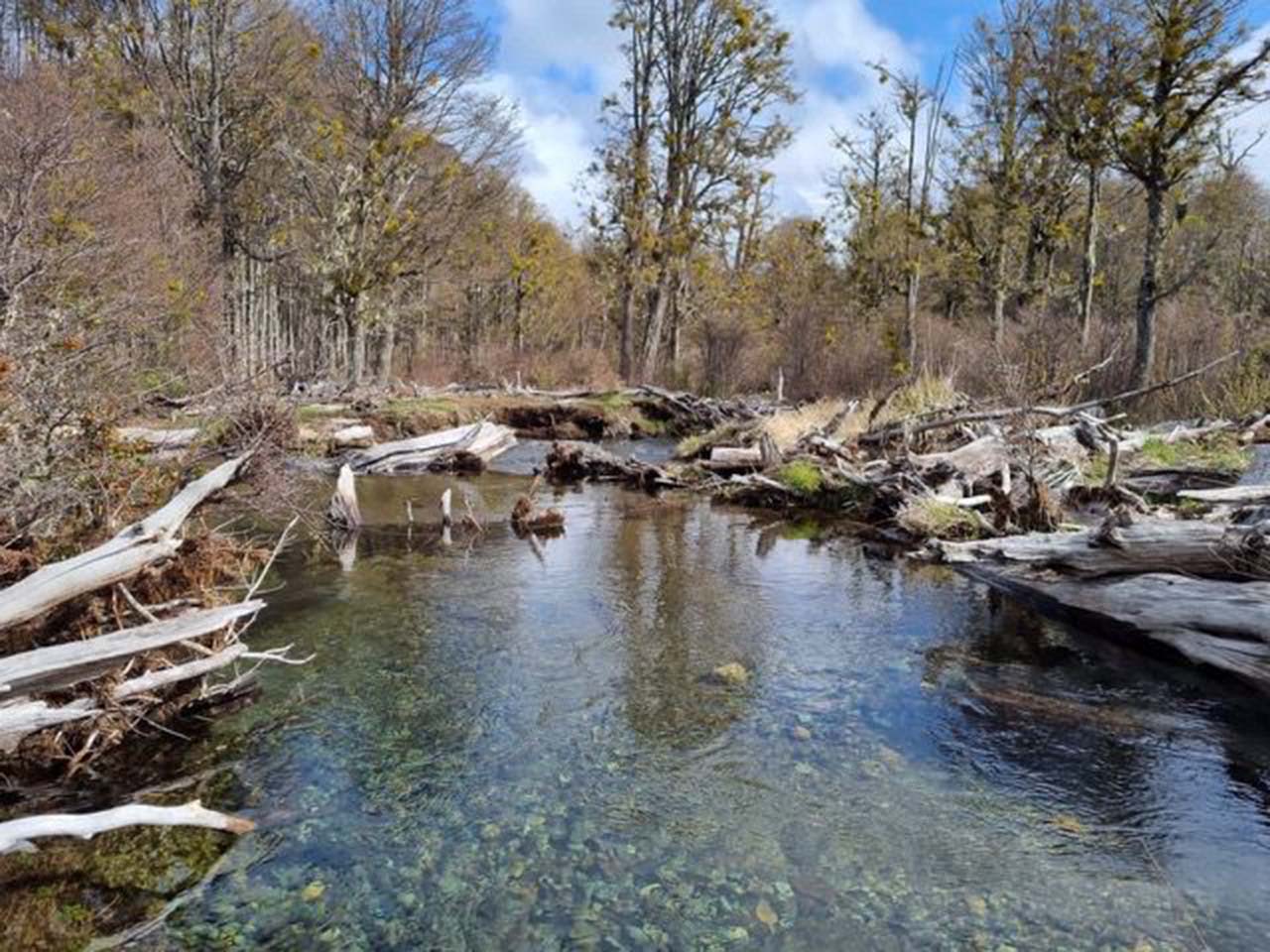 Terreno Coyhaique, Río Norte, Lote 1 - Imagen 18