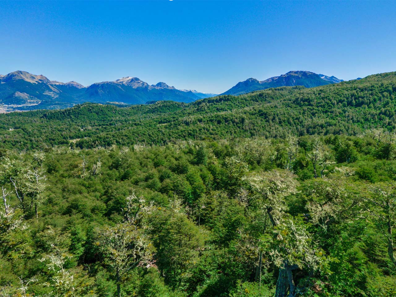 Terreno Coyhaique, Río Norte, Lote 1 - Imagen 5