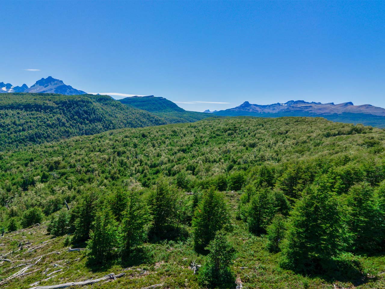 Terreno Coyhaique, Río Norte, Lote 1 - Imagen 6