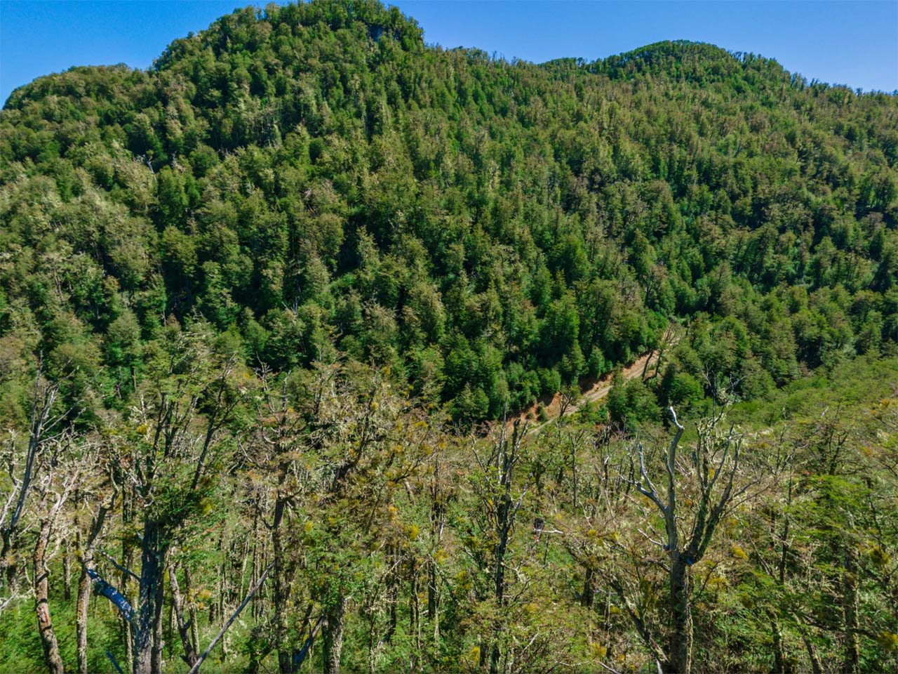 Terreno Coyhaique, Río Norte, Lote 1 - Imagen 9