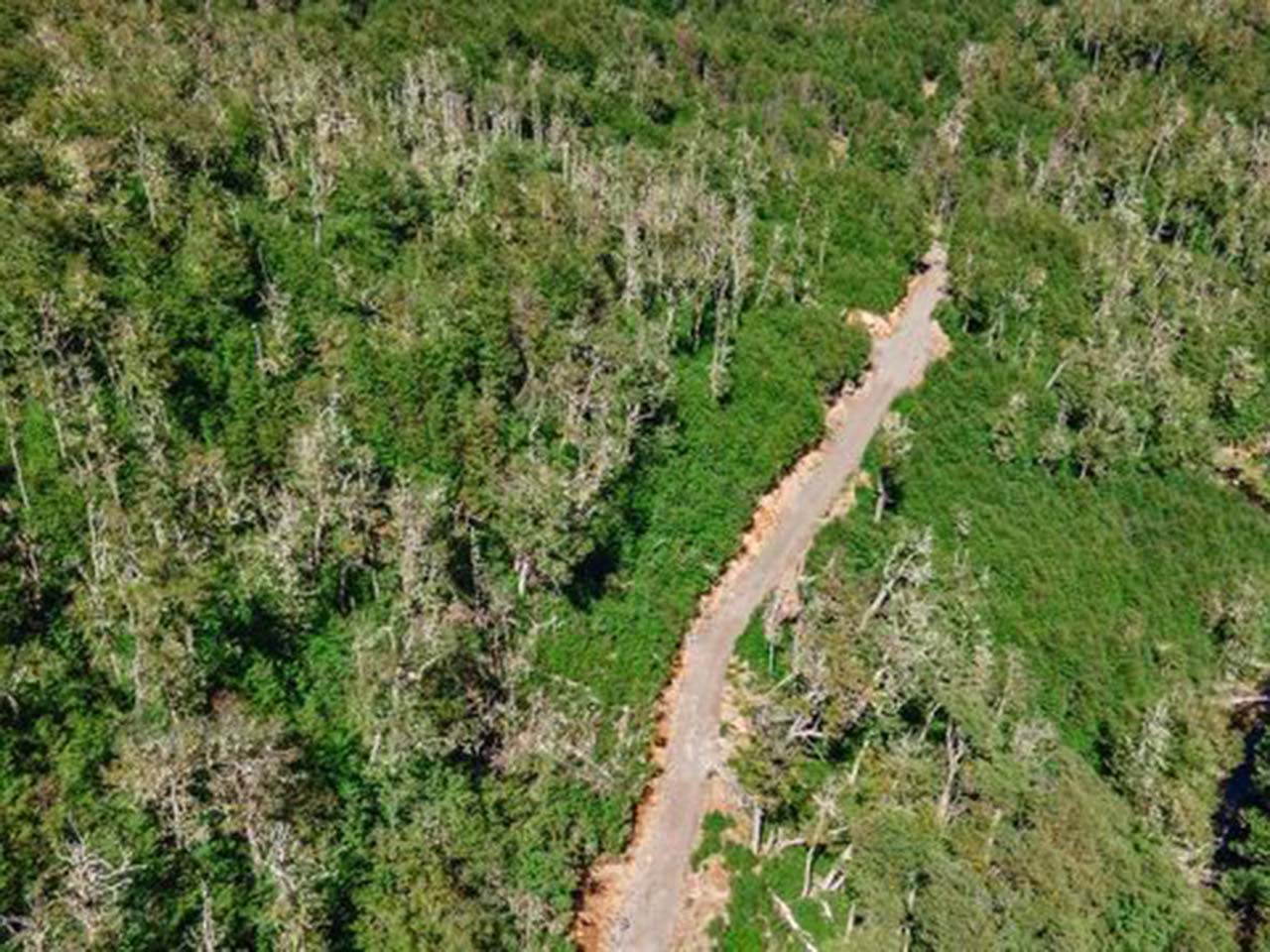 Terreno Coyhaique, Río Norte, Lote 1 - Imagen 15