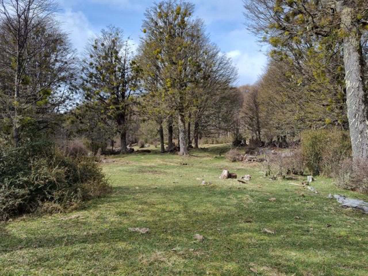 Terreno Coyhaique, Río Norte, Lote 1 - Imagen 16