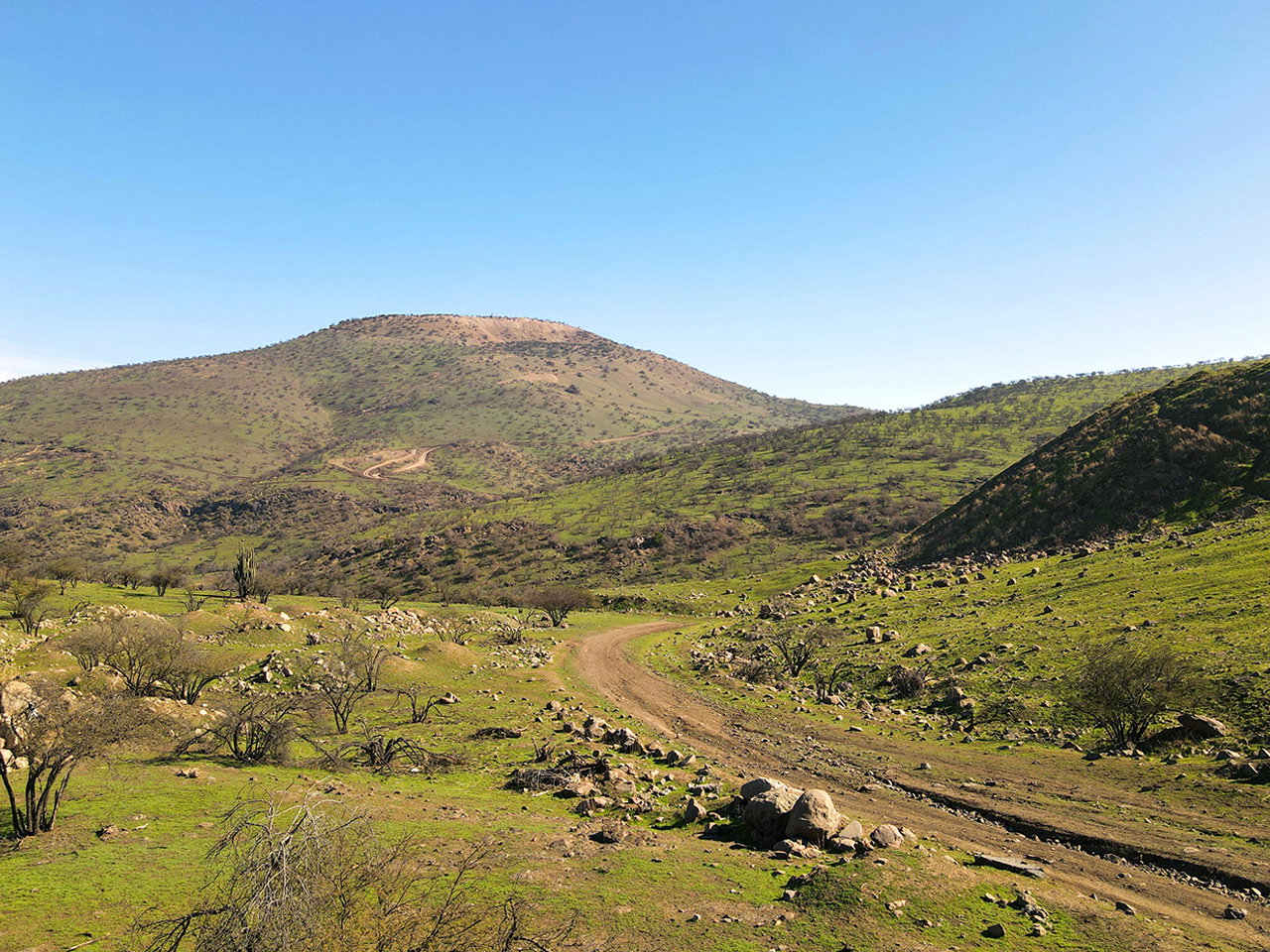 El Parron de Guay Guay Lote F17 - Imagen 3