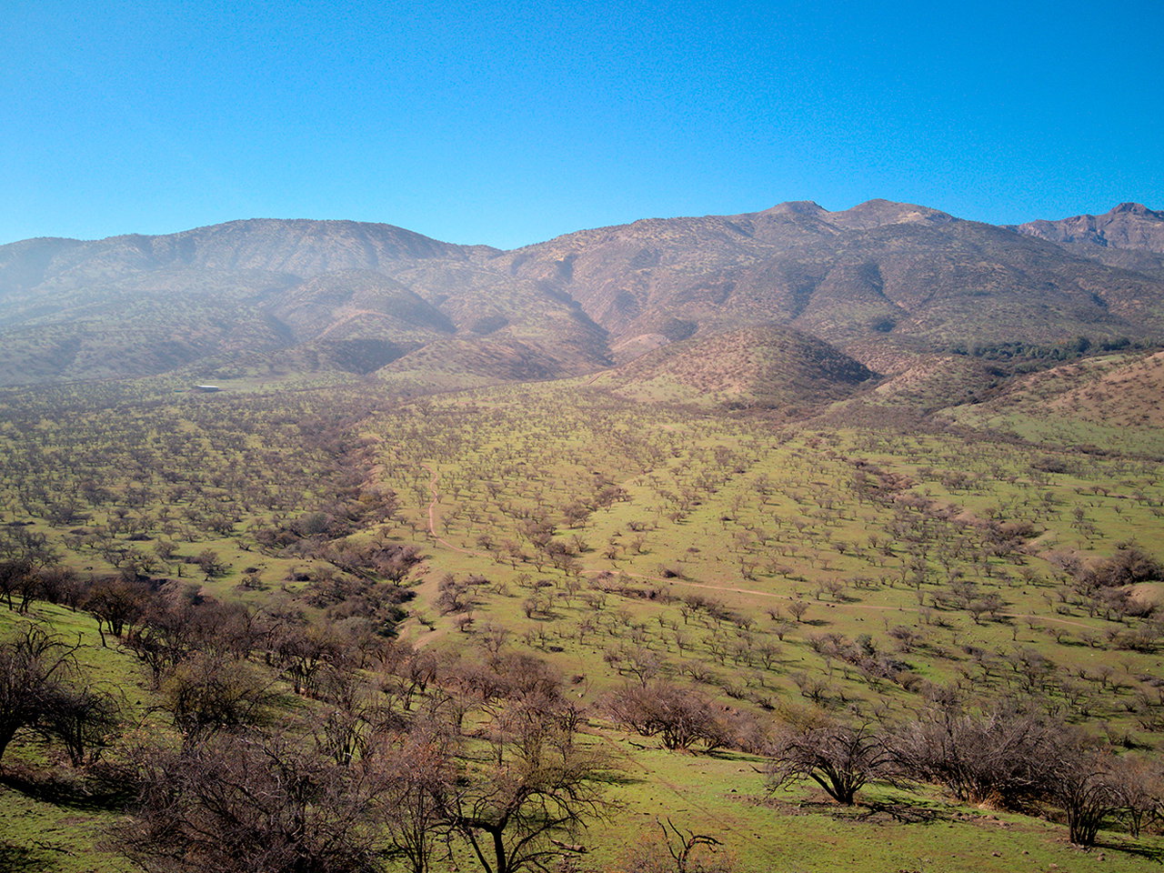El Parron de Guay Guay Lote F17 - Imagen 4