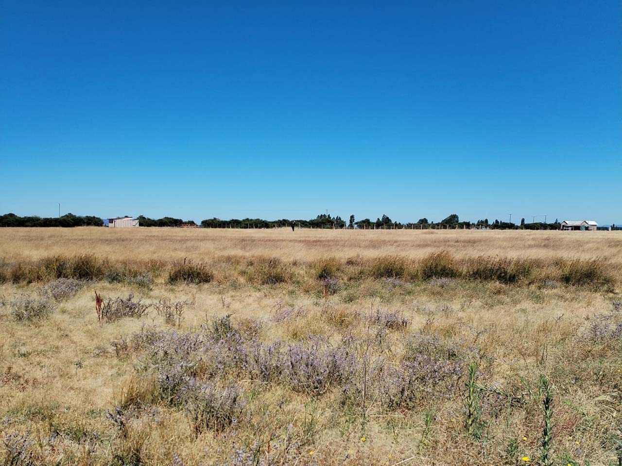 Cardo Verde, Parcela 58 - Imagen 2
