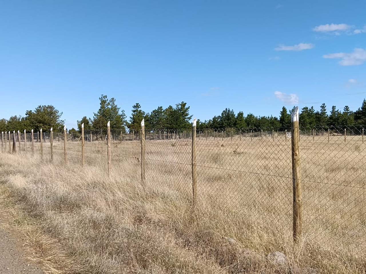 Capellania, Parcela 126 - Imagen 4