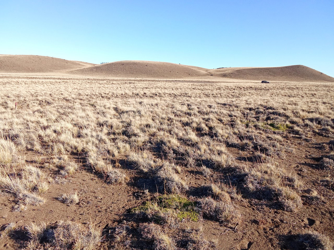 Sector Rodeo Los Palos, Lote B-1-3 - Imagen 1