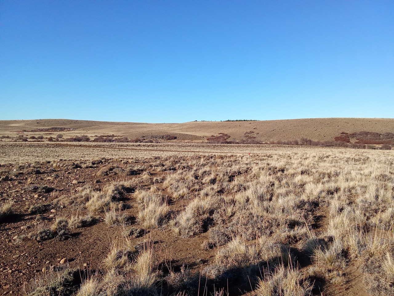 Terreno Sector Rodeo Los Palos, Lote B-1-3
