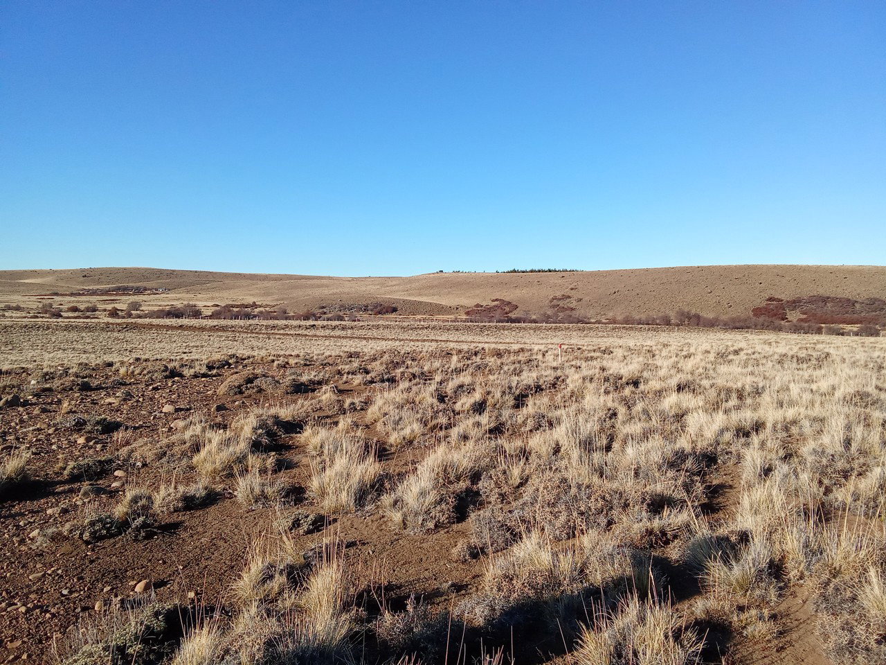 Sector Rodeo Los Palos, Lote B-1-3 - Imagen 2