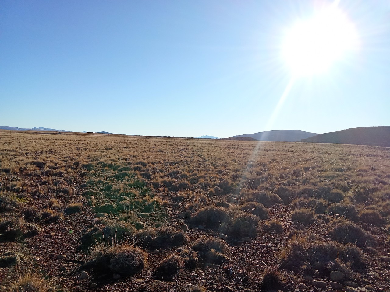 Terreno Sector Rodeo Los Palos, Lote B-1-3