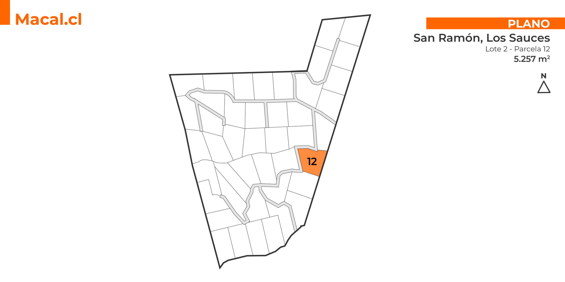 San Ramón, Lote 2, Parcela 12 - Imagen 12