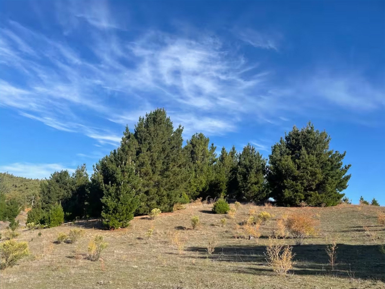 San Ramón, Lote 2, Parcela 12 - Imagen 4