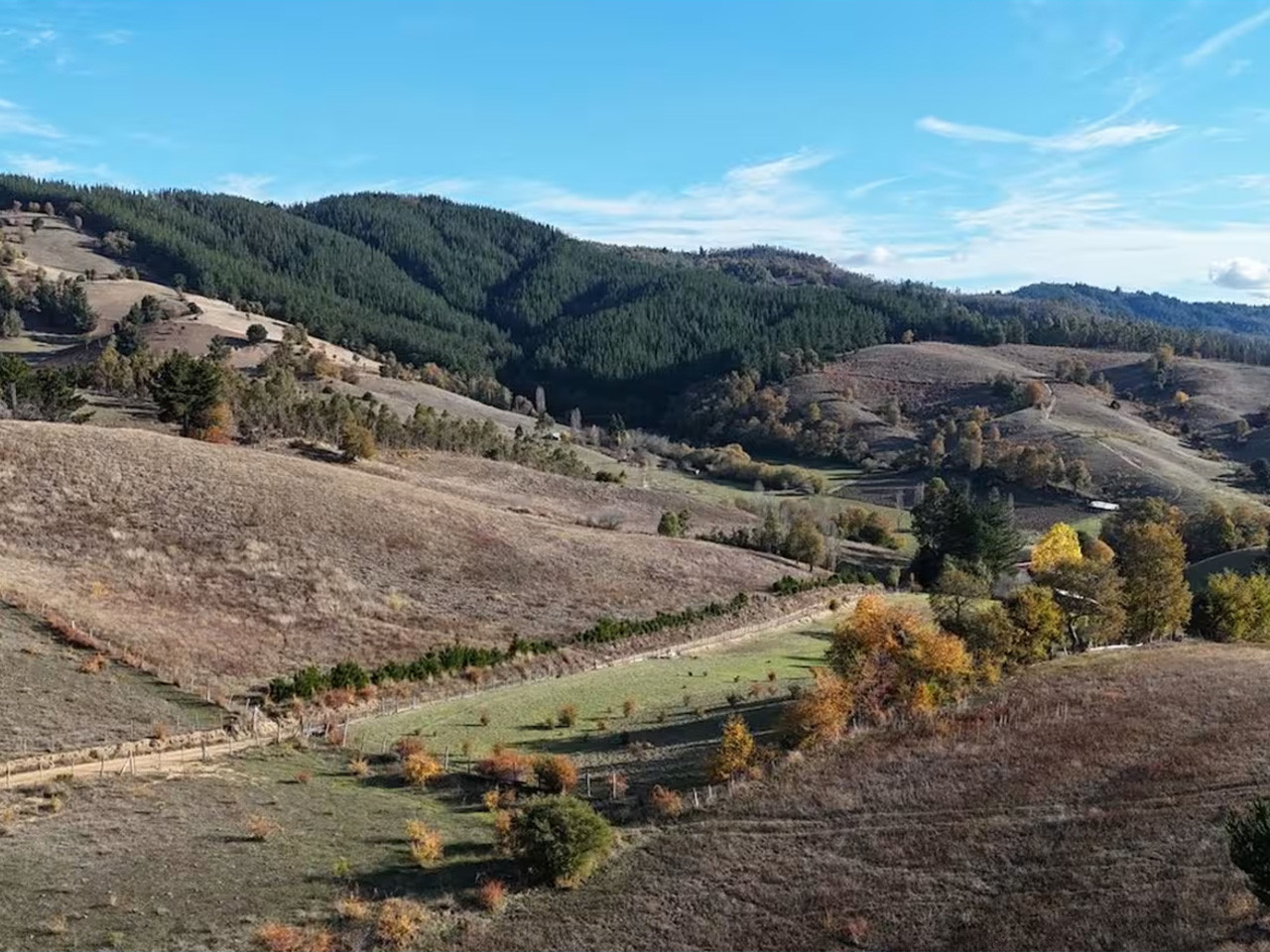 San Ramón, Lote 2, Parcela 12 - Imagen 10
