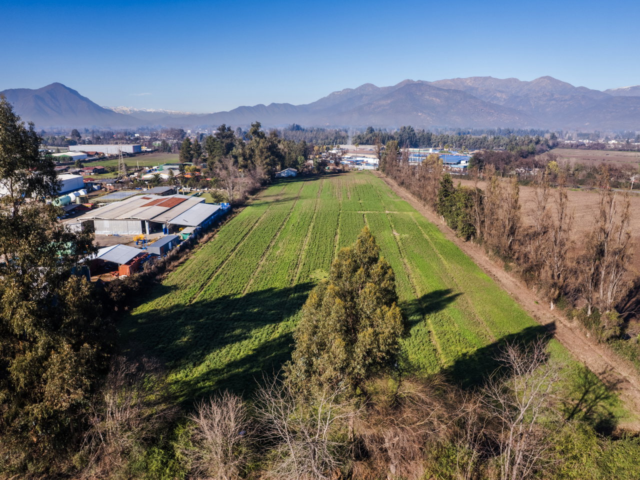 Diez Poniente 259 - Imagen 5