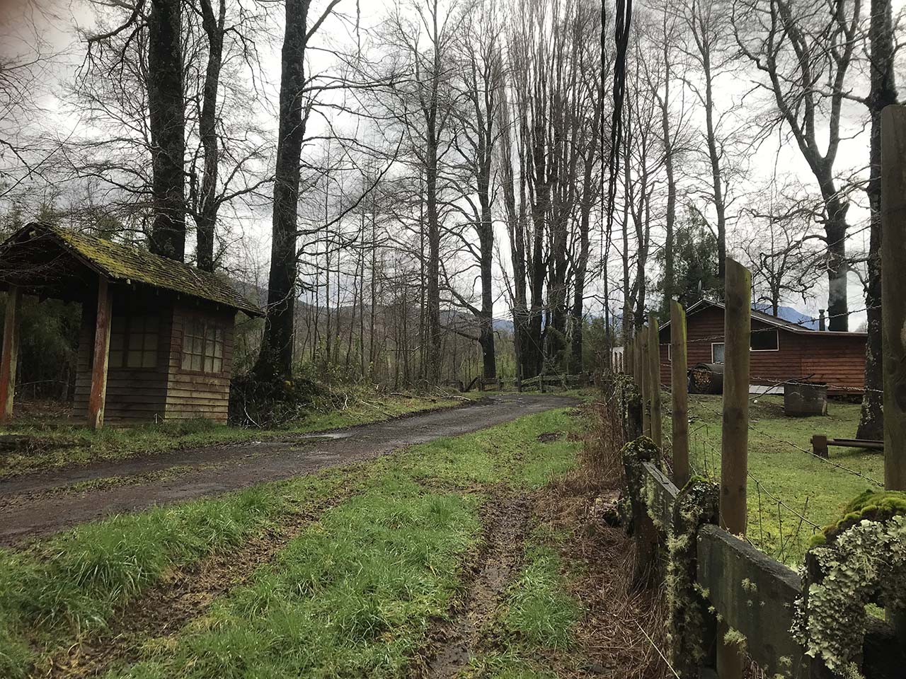 Camino Pucón, Quilaco Parcela 36 - Imagen 7