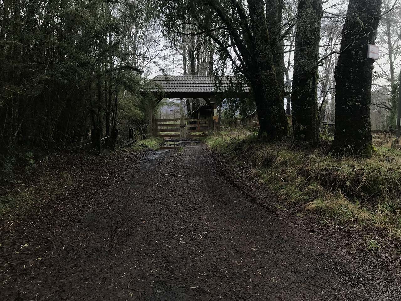 Camino Pucón, Quilaco Parcela 36 - Imagen 6