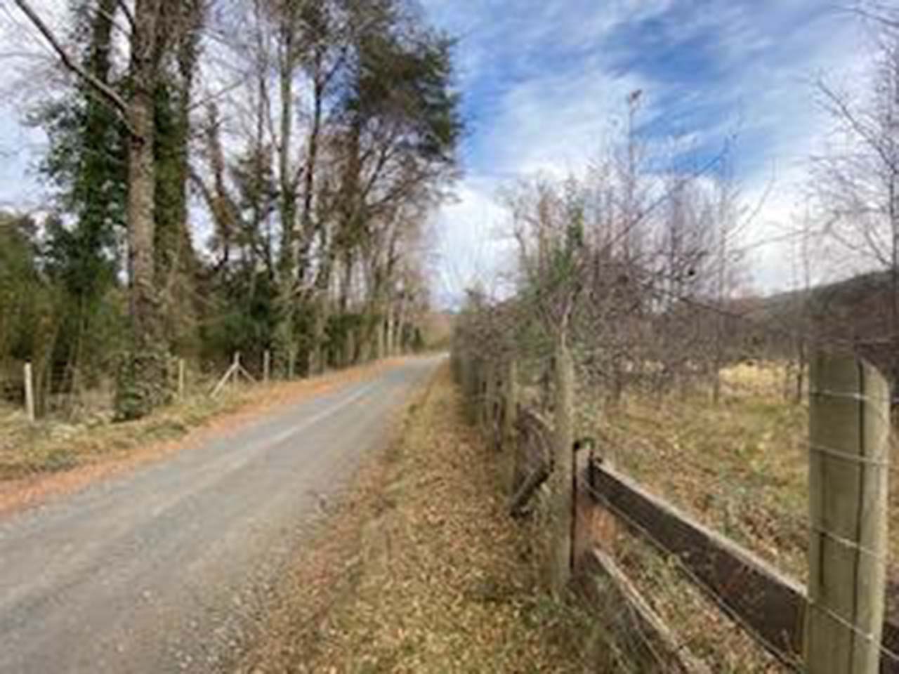 Camino Pucón, Quilaco Parcela 36 - Imagen 2