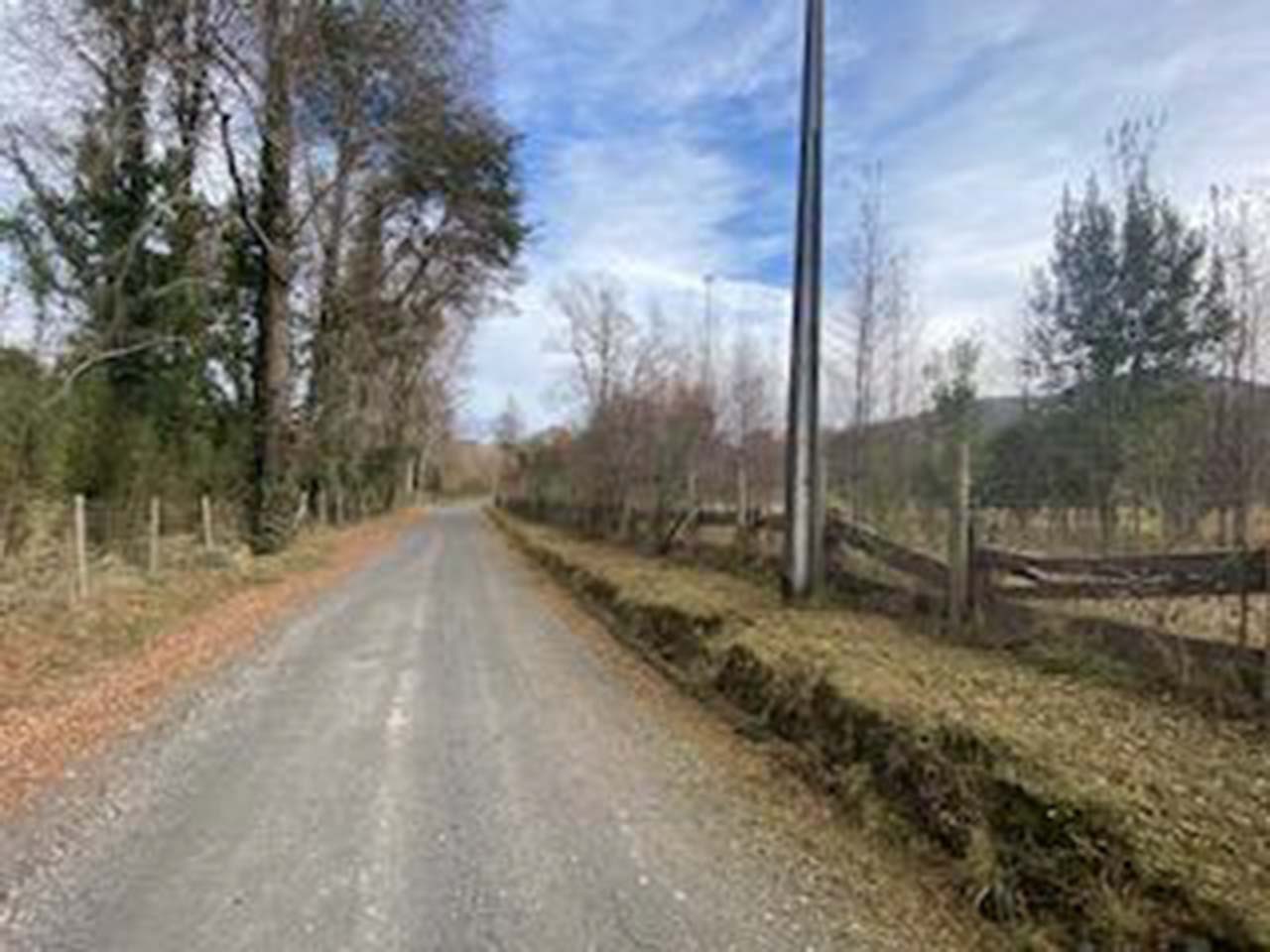 Camino Pucón, Quilaco Parcela 36 - Imagen 3