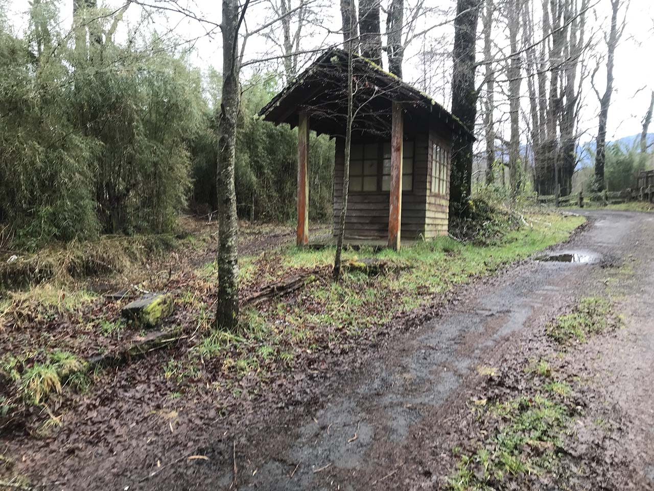 Camino Pucón, Quilaco Parcela 36 - Imagen 4