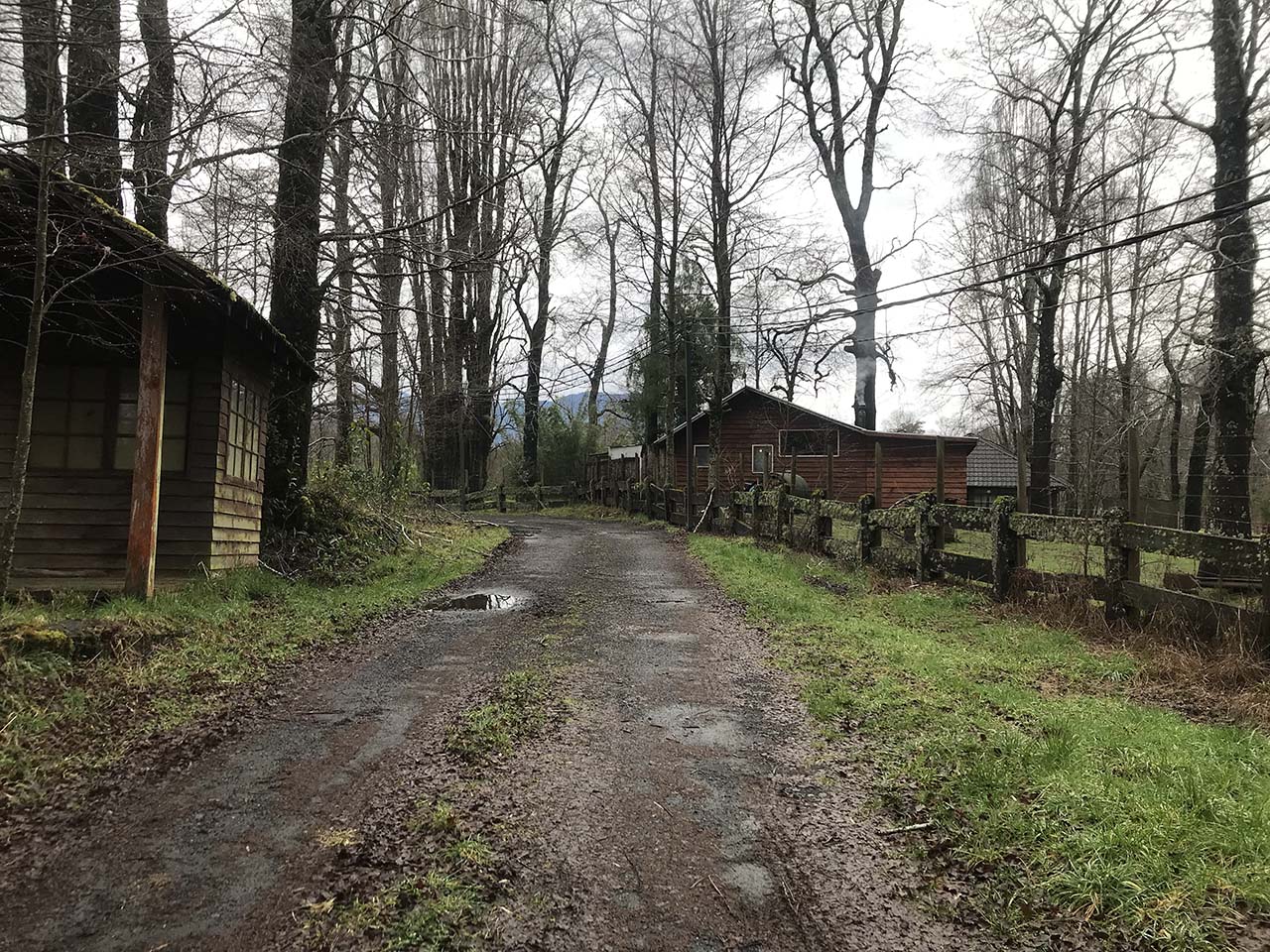 Camino Pucón, Quilaco Parcela 36 - Imagen 5
