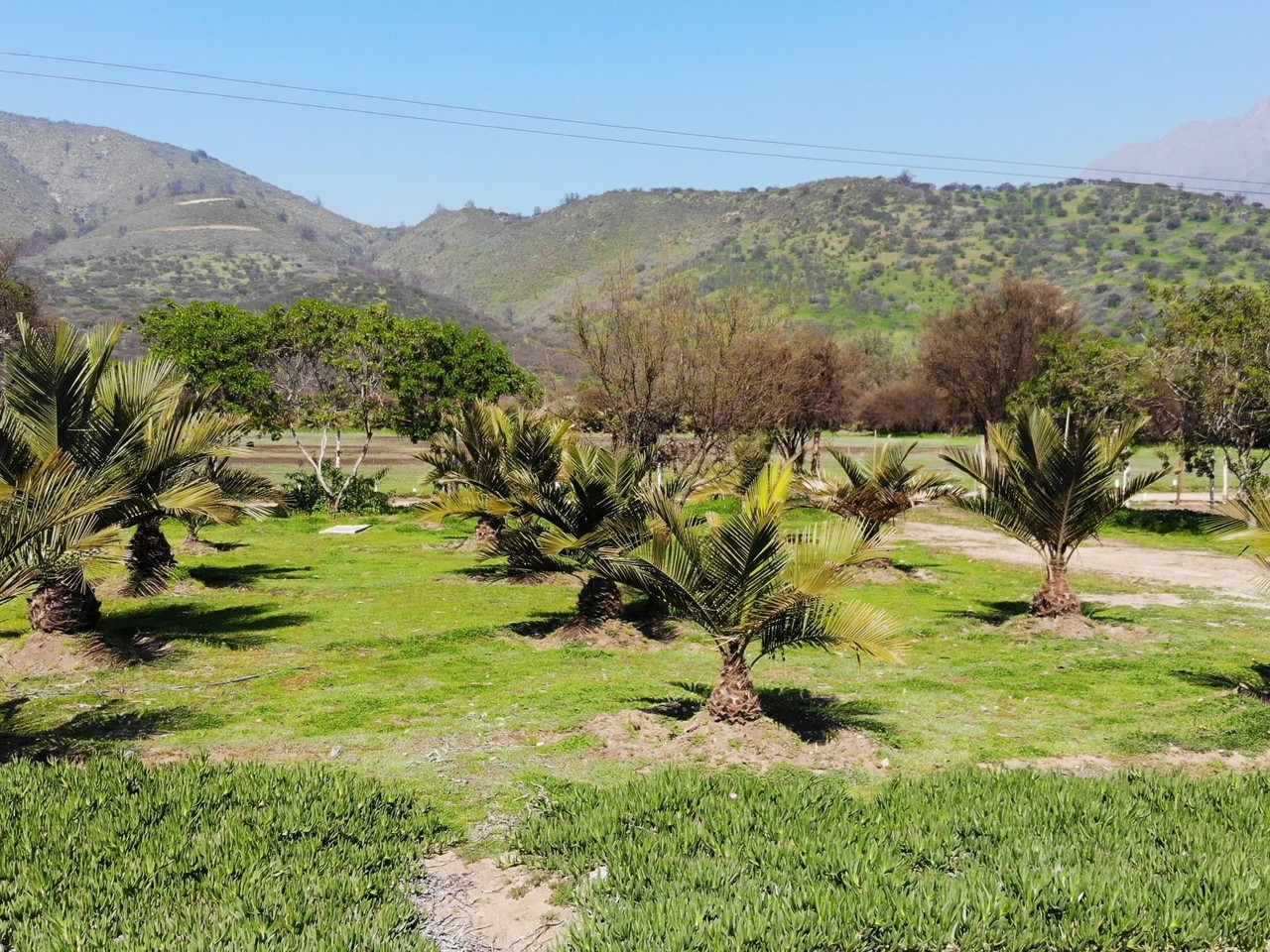 Parcela Oasis De La Campana, Parcela C126c