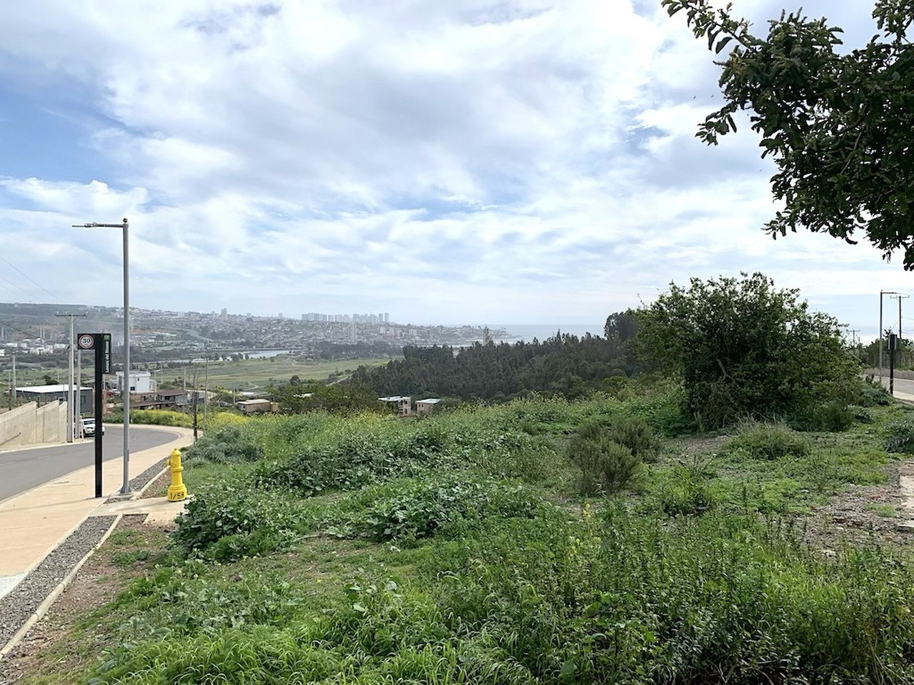 Fundo Las Gaviotas, Sitio 120 - Imagen 10