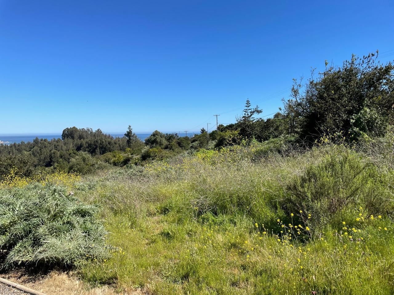 Terreno Fundo Las Gaviotas, Sitio 120