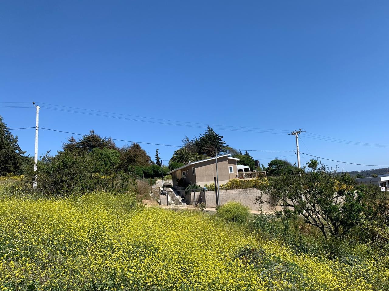 Terreno Fundo Las Gaviotas, Sitio 120