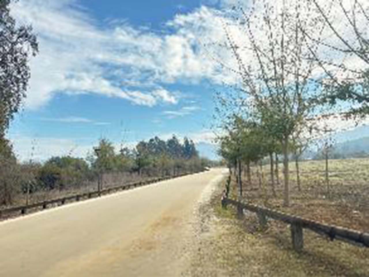 Lote A-1, Parcela 50 El Luchador - Imagen 5