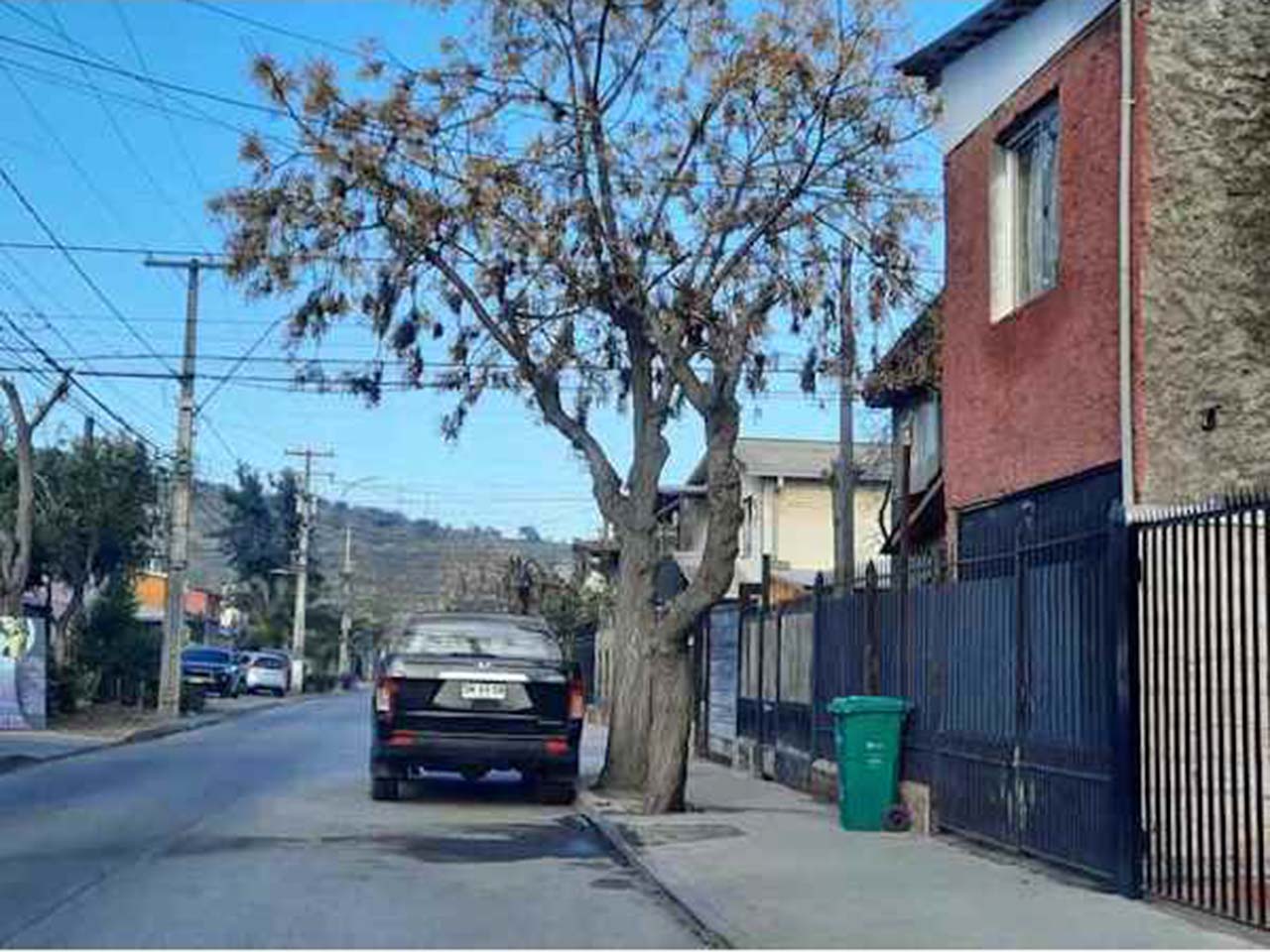 Los Boldos 367 - Imagen 3