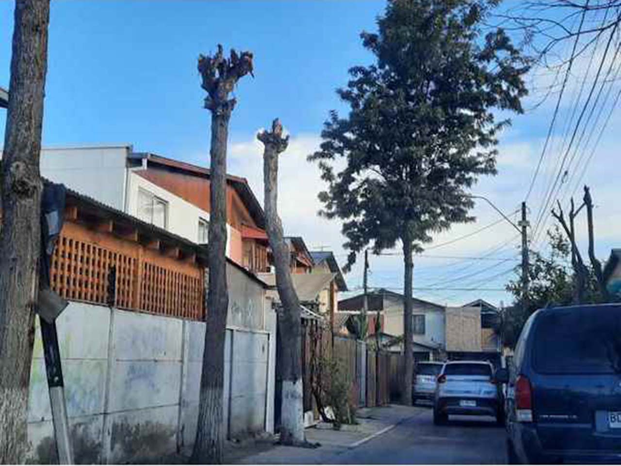 Los Boldos 367 - Imagen 1