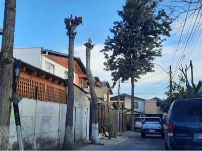 Los Boldos 367