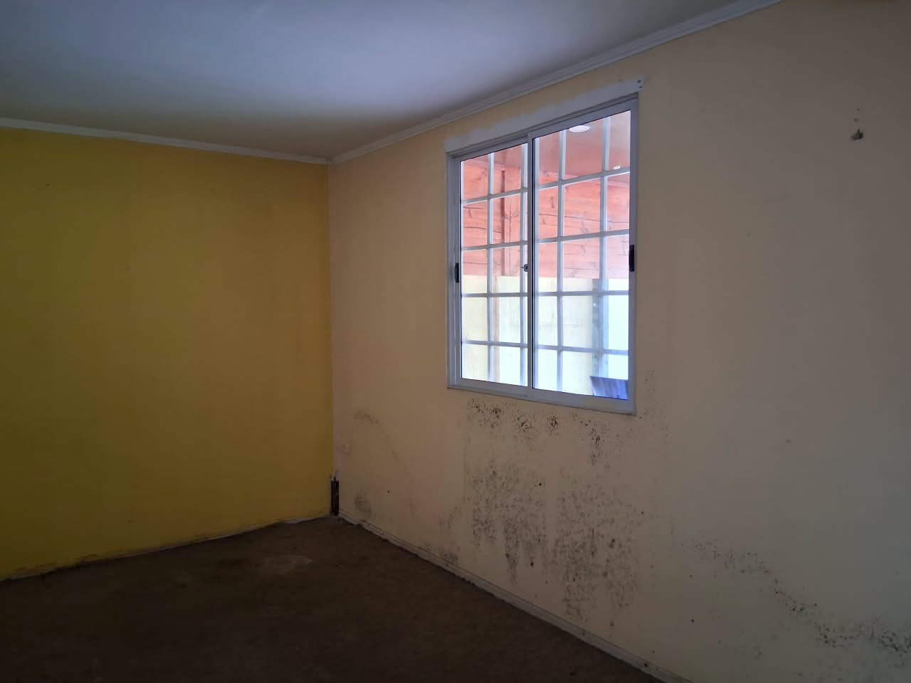 Berna 1 Norte 1527 - Imagen 15