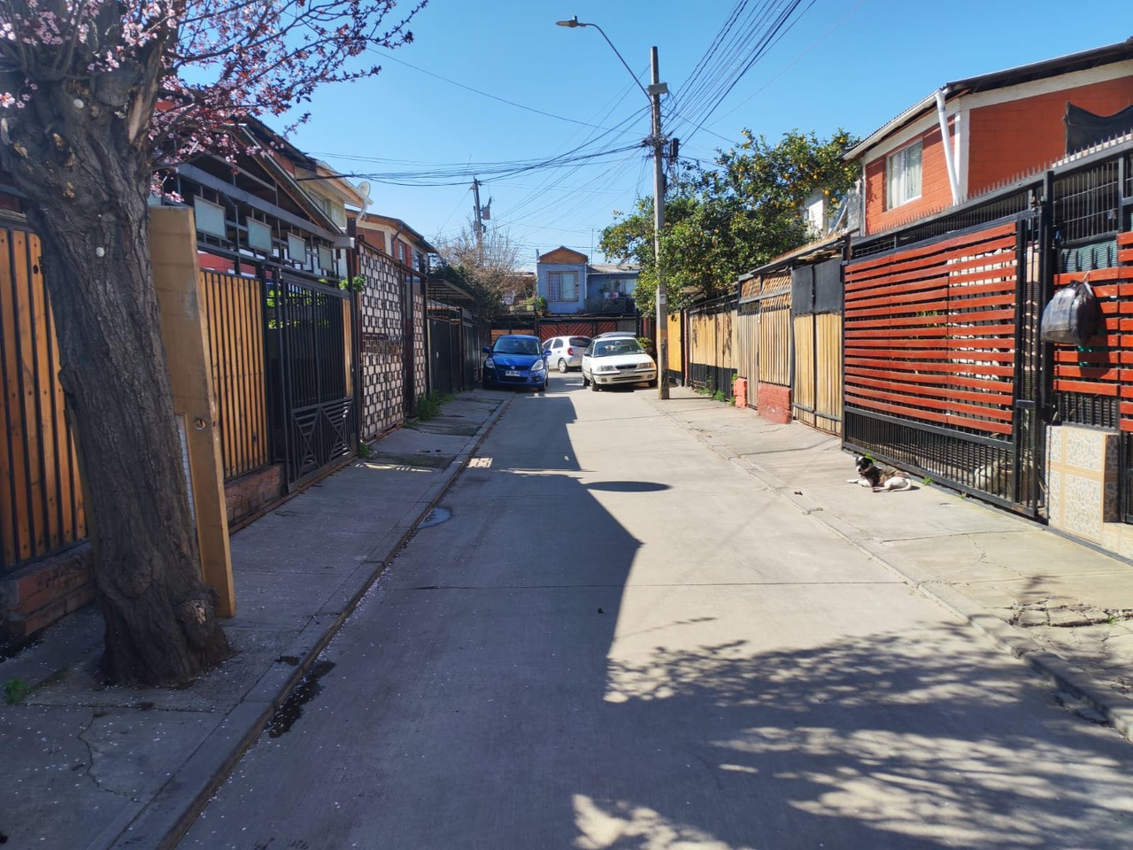Pasaje Constitución 8558 - Imagen 6