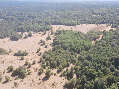 Parque Del Niblinto, Parcela 47