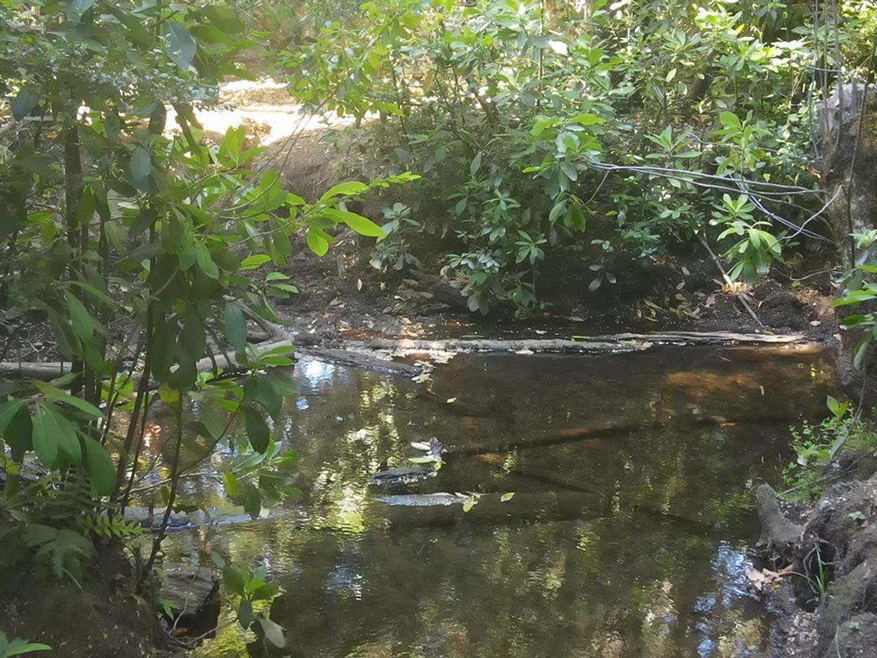Parque Del Niblinto, Parcela 47 - Imagen 10