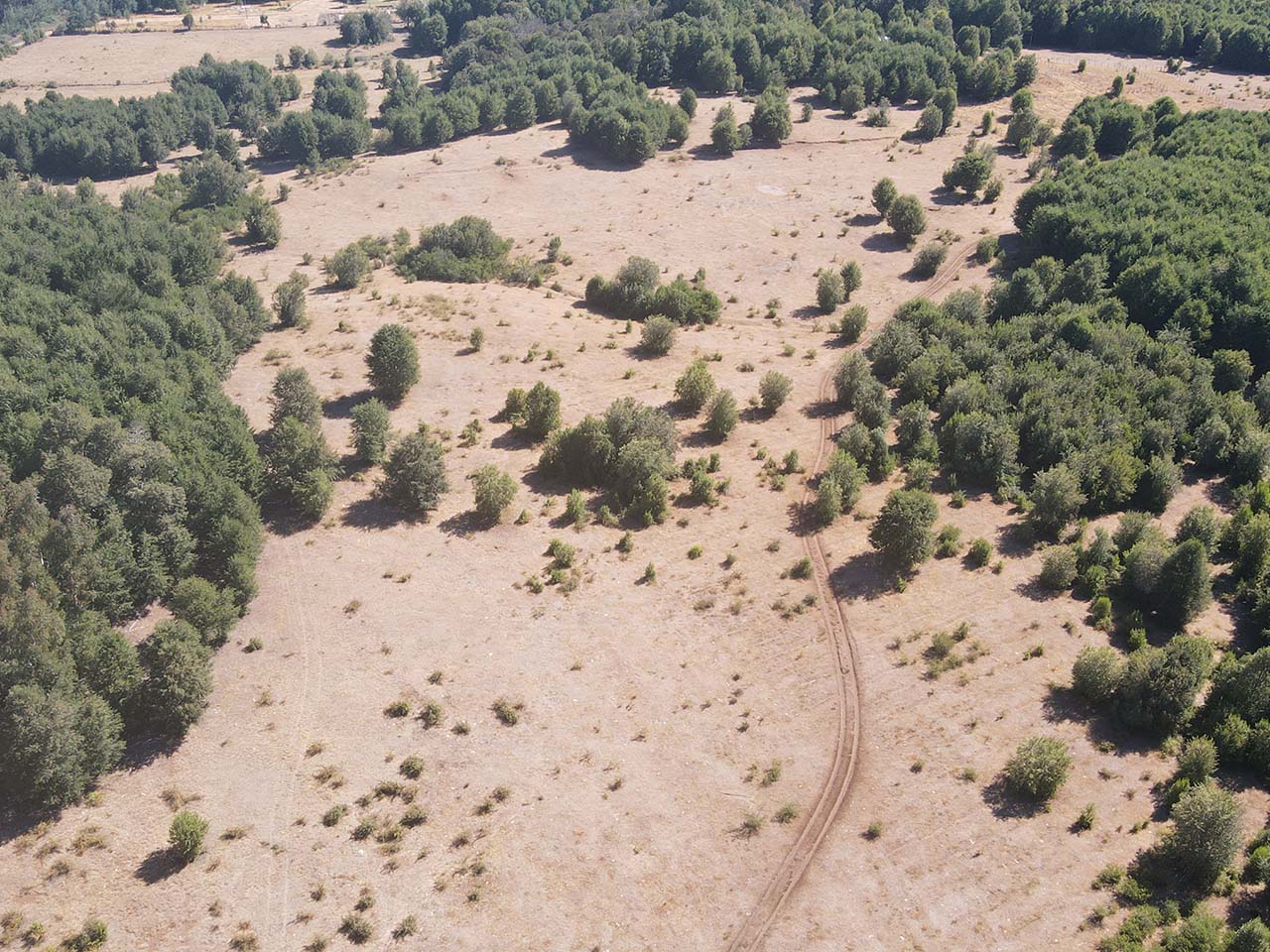 Parque Del Niblinto, Parcela 47 - Imagen 2